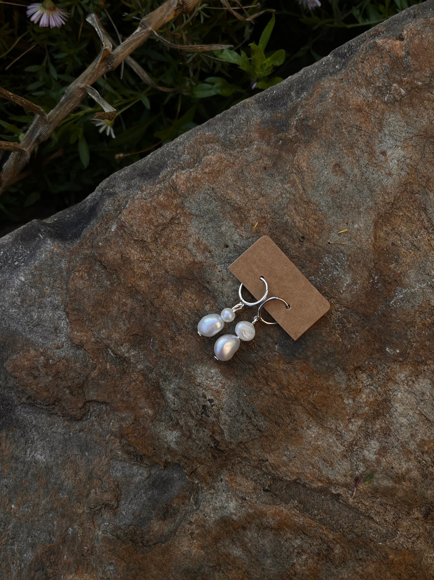 Erika Hoops