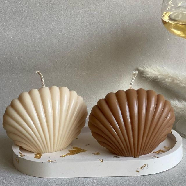 Small Sea Shells