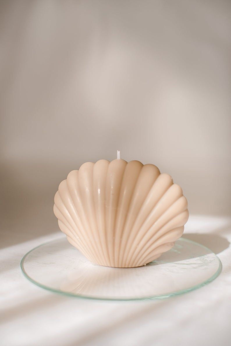 Small Sea Shells